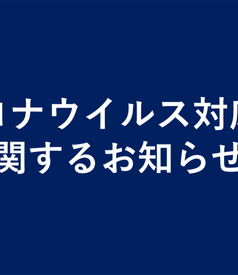 みんなの授業例 Socra Wonder